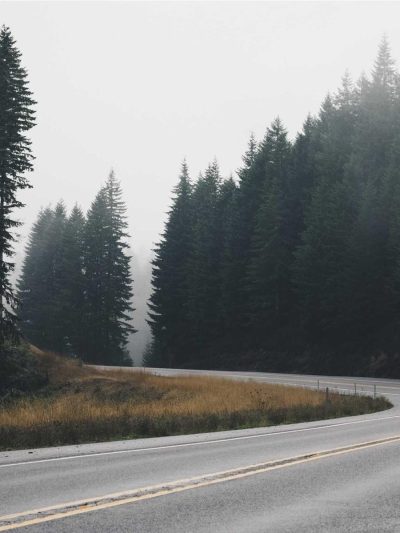 Short Film — "Signal Loss", still 2