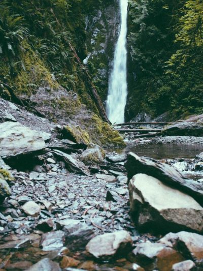 Travel Log — Ferries, Fog and Fourteen Rolls, still 6